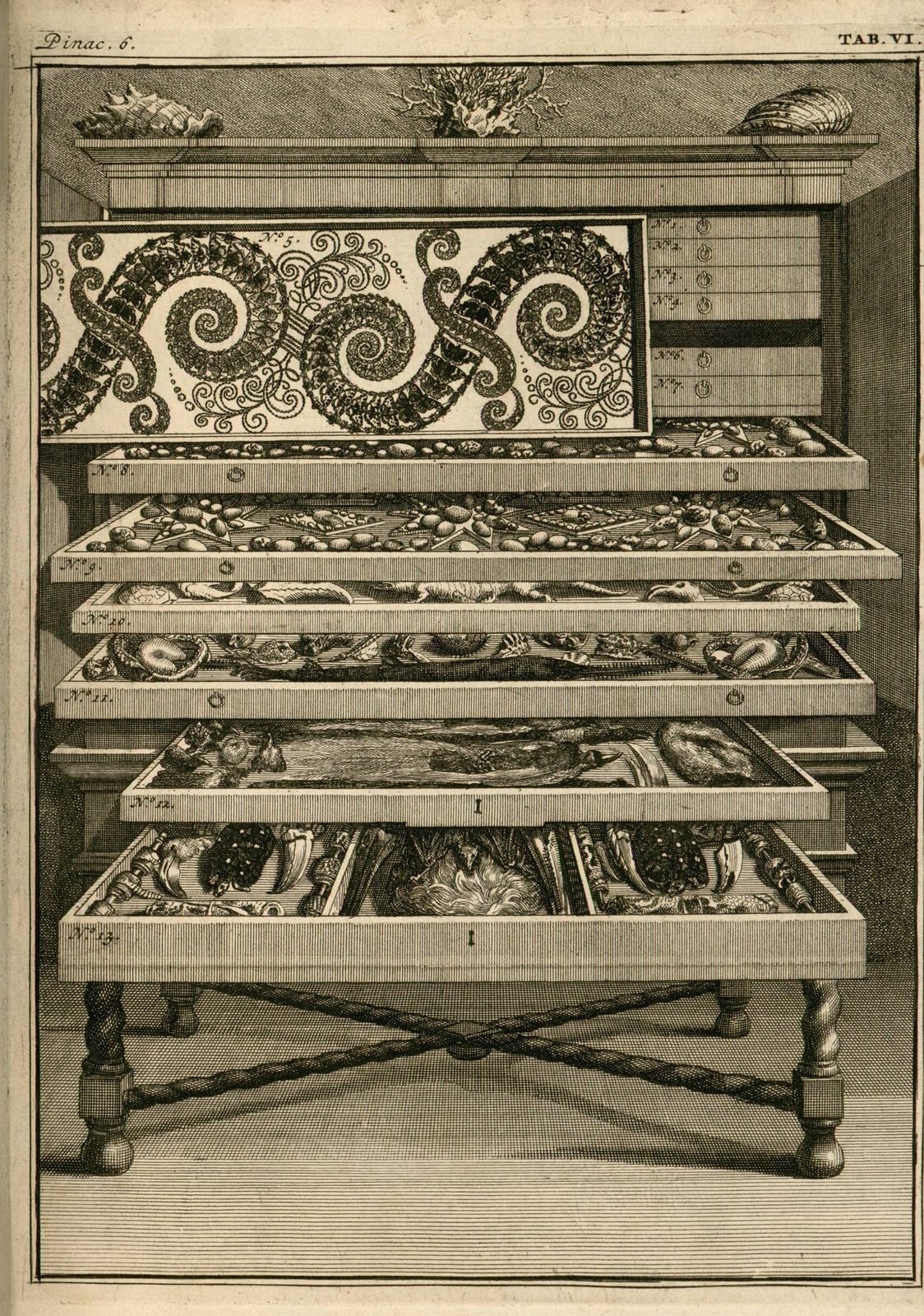 The Serpent Cabinet