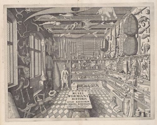 Museum Wormianum